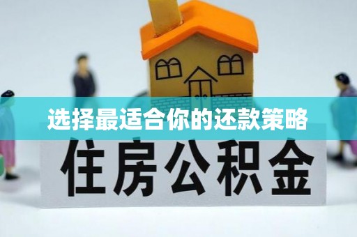 佳县选择最适合你的还款策略